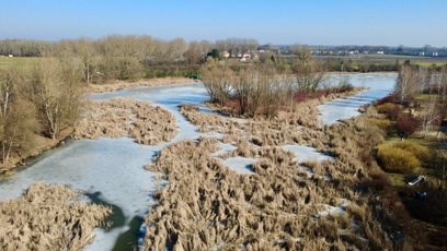 Jeziorko Powsinkowskie jest starorzeczem Wisły znajdującym się po lewej stronie rzeki