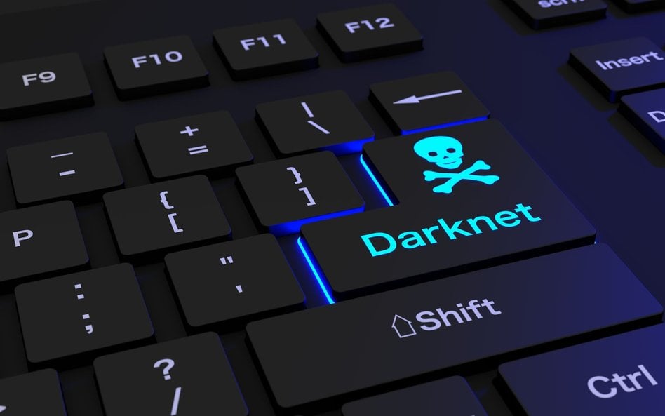 Mroczna strona internetu. Darknet rośnie w siłę