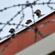 Prezydent Litwy ostrzega Łukaszenkę przed sankcjami