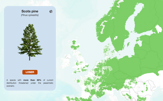 Kadr z aplikacji Future Forests