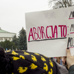 Tomasz P. Terlikowski: Aborcja nie tylko polaryzuje, lecz także niszczy praworządność