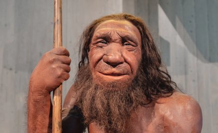 Homo sapiens i neandertalczycy przez tysiąclecia żyli obok siebie