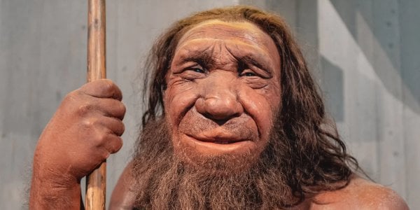Neandertalczycy i Homo sapiens: bliskość dobrowolna?