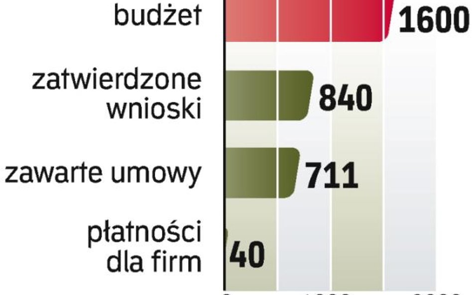 Fundusze na e-biznes. Rozdzielono już połowę budżetu na e-projekty. Pozostało jeszcze ponad 700 mln 
