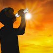 Raport: Latem pobito 396 rekordów temperatur na półkuli północnej