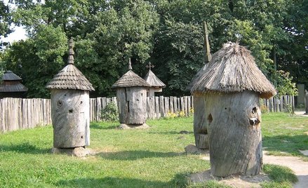 W sumie w ramach programu powstało 40 kłód bartnych i barci