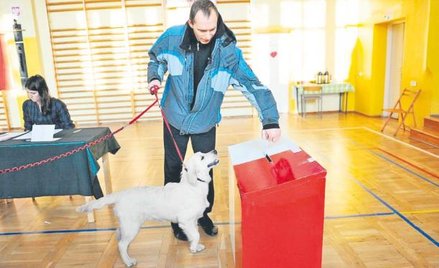 Mieszkańcy Szczecina wybierają prezydenta swego miasta