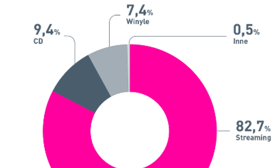 Struktura przychodów w 2025 r.