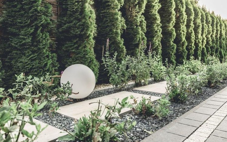 "Bambusowy pokój" w Lublinie