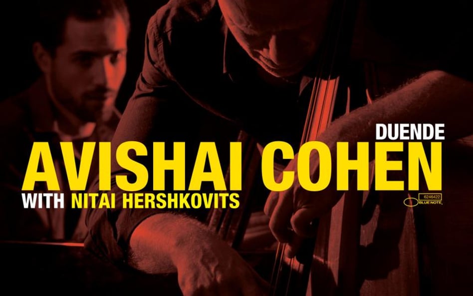 Koncert Avishaia Cohena