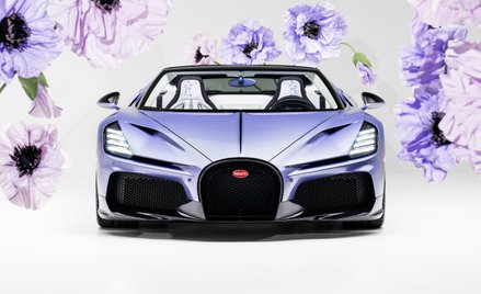 BUGATTI Mistral Caroline