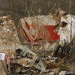Polscy specjaliści zbadają "czarną skrzynkę" Tu-154