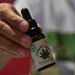 Firma będzie sprzedawać koszerną marihuanę