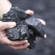 Zima stulecia dla sprzedawców węgla?