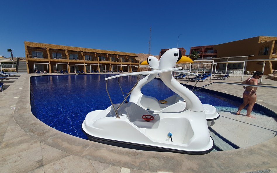 Wakacje w Egipcie były w poprzednim tygodnkiu o 114 złotych droższe niż rok wcześniej