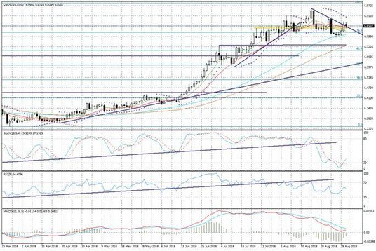 Wykres dzienny USDCNH