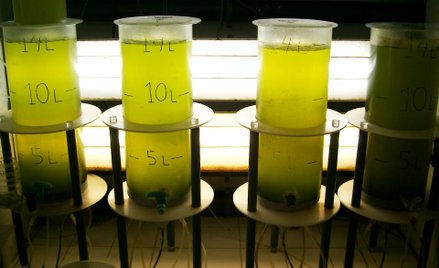 Kredyty na działalność innowacyjną dla małych przedsiębiorców