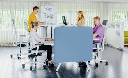 Czasem całe kamienice pełnią wyłącznie funkcje biurowe i usługowe