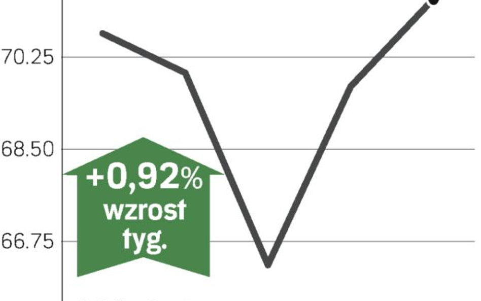 Jakby nie było kryzysu