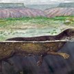 Puijila darwini równie dobrze pływał w wodach słodkowodnych jezior, jak i stąpał po lądzie (fot. Mar