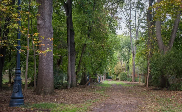 Alejka w parku Skaryszewskim przeznaczona do modernizacji