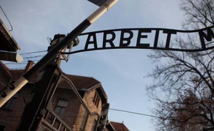 Muzeum Auschwitz