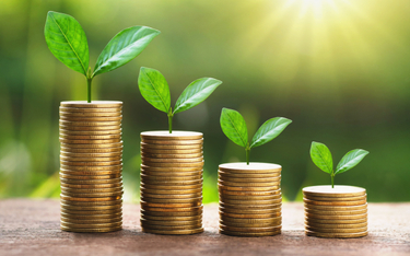 Przedsiębiorcy mogą starać się o wsparcie finansowe na zielone inwestycje
