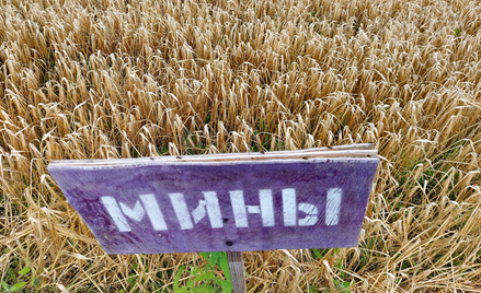 89 mln dolarów na rozminowanie Ukrainy