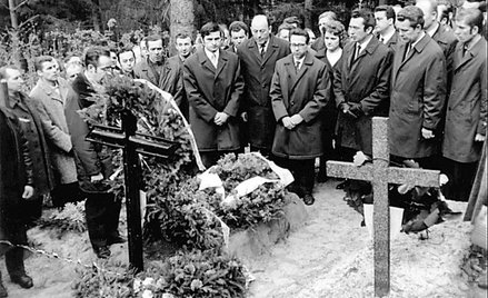 Zniekształcony krajobraz