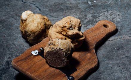 Białe trufle dotąd występowały wyłącznie dziko, próby uprawiania tych grzybów kończyły się dotąd nie