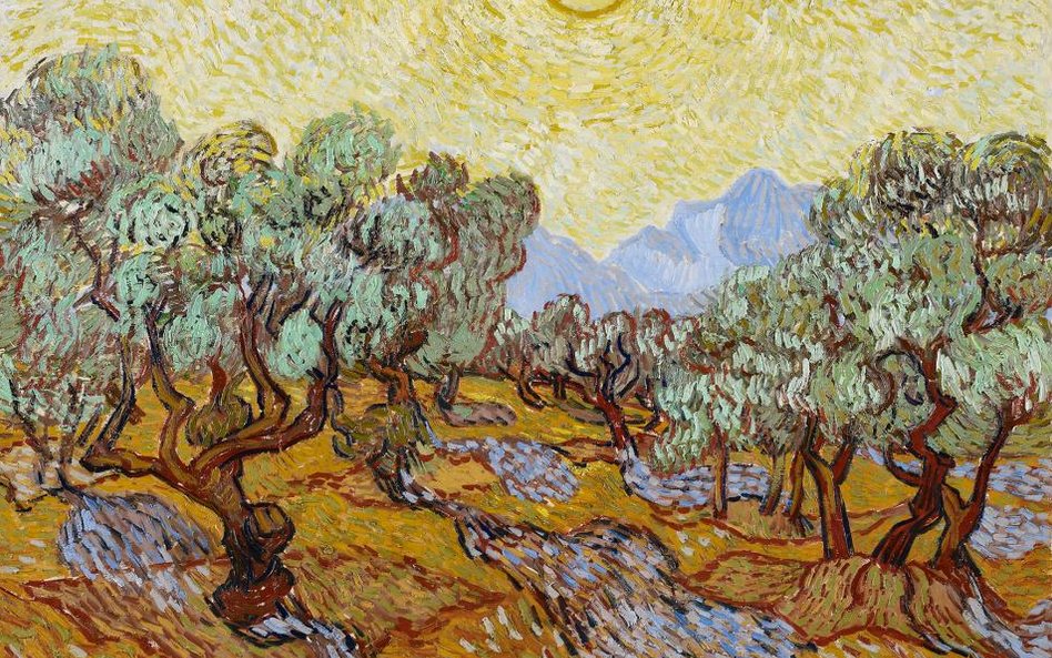 Vincent van Gogh, Drzewa oliwne, 1889