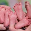 Śląskie: Na świat przyszły pięcioraczki