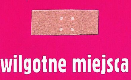 Pamiętnik świntuchy