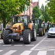 Rolnicy mogą spać spokojnie. Dopłaty zostają w nowym budżecie Unii Europejskiej