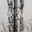 W Wielkanoc 20 ataków na infrastrukturę 5G w Wielkiej Brytanii