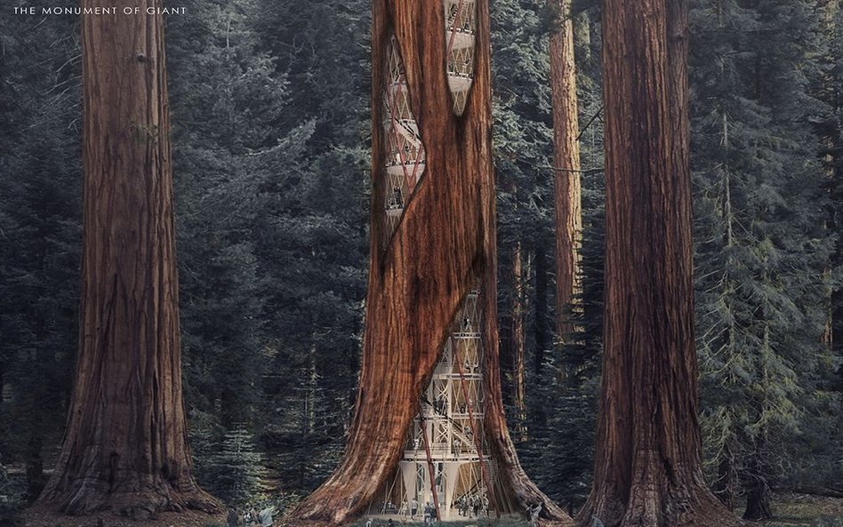 Ko Jinhyeuk, Cheong Changwon, Cho Kyuhyung, Choi Sunwoong, Korea Południowa