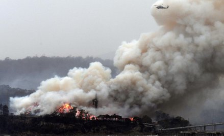 Sprzedaje nagie zdjęcia, aby pomóc Australii. Zebrała już 700 tysięcy dolarów