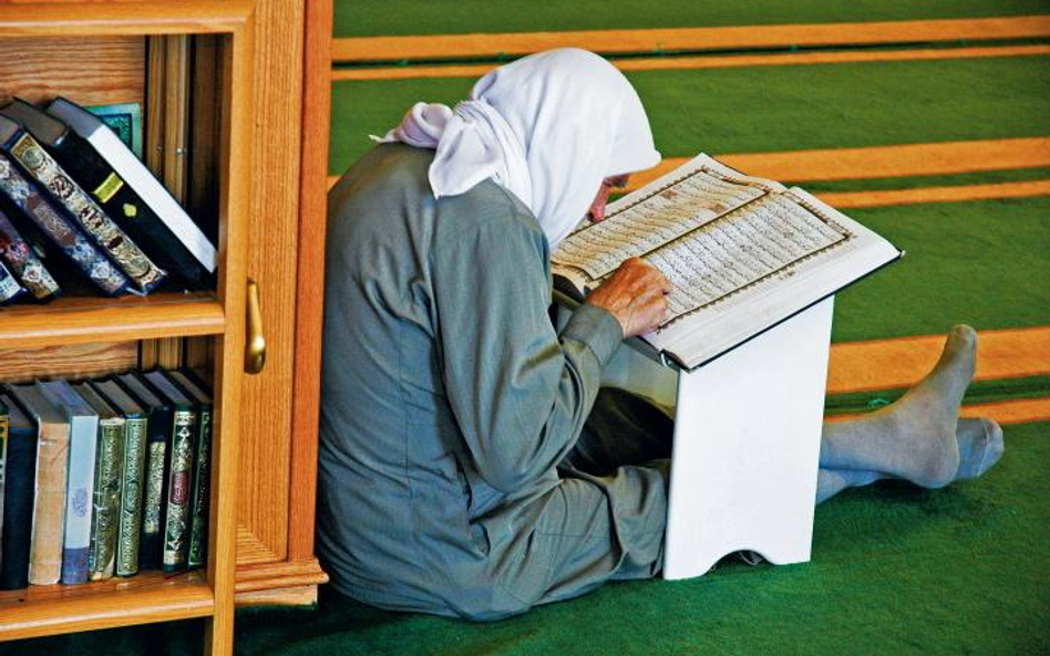 W zaciszu meczetu mężczyźni studiują Koran