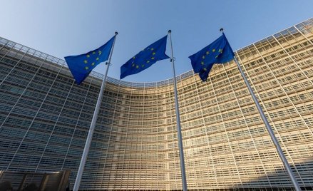 Zarządzanie gospodarcze w Unii Europejskiej: lifting czy wielka reforma