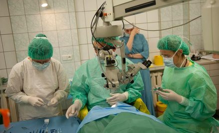 Komórki pomogą w przeszczepach