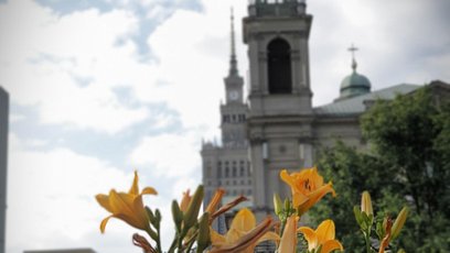 Projektowanie wnętrz w Warszawie na przełomie 2026 i 2027 roku – trendy, koszty i praktyczne rozwiąz