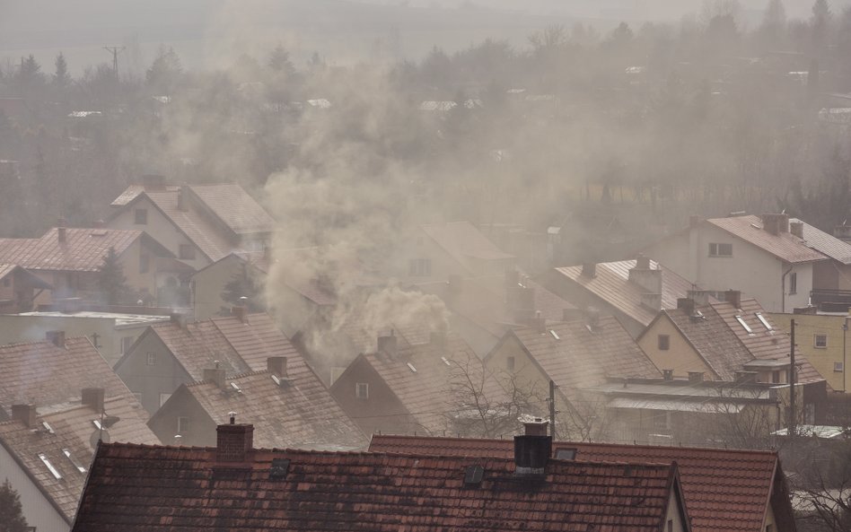 Walka ze smogiem przyspieszy. Będą większe pieniądze na wymianę "kopciuchów"