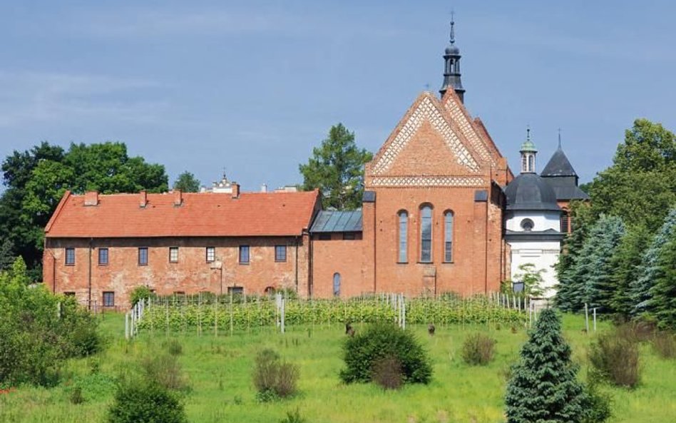 Region chce rozwijać nie tylko produkcję wina, ale także turystykę winiarską, tzw. enoturystykę, któ