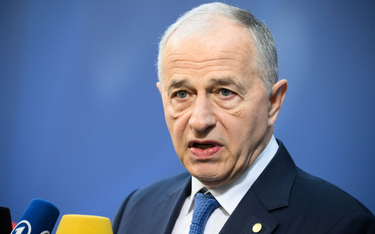 Zastępca sekretarza generalnego NATO Mircea Geoană