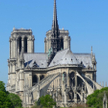 200-letnie dęby zostaną wycięte do odbudowy Notre Dame