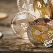 Pierwsze giełdy kryptowalut z licencją KNF