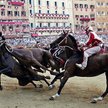 Wyścigi na Piazza del Campo w Sienie nieraz kończą się wypadkiem. Na zdjęciu pojedynek dzielnic Leoc