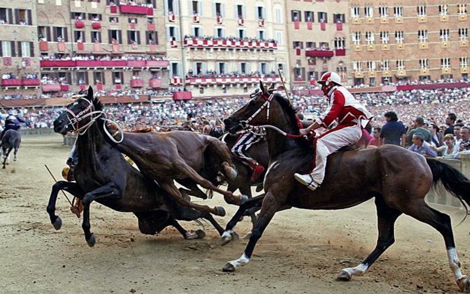 Wyścigi na Piazza del Campo w Sienie nieraz kończą się wypadkiem. Na zdjęciu pojedynek dzielnic Leoc