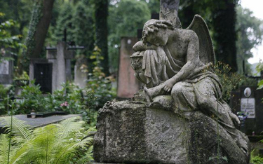 Regulamin cmentarza nie może zastępować przepisów o chowaniu zmarłych