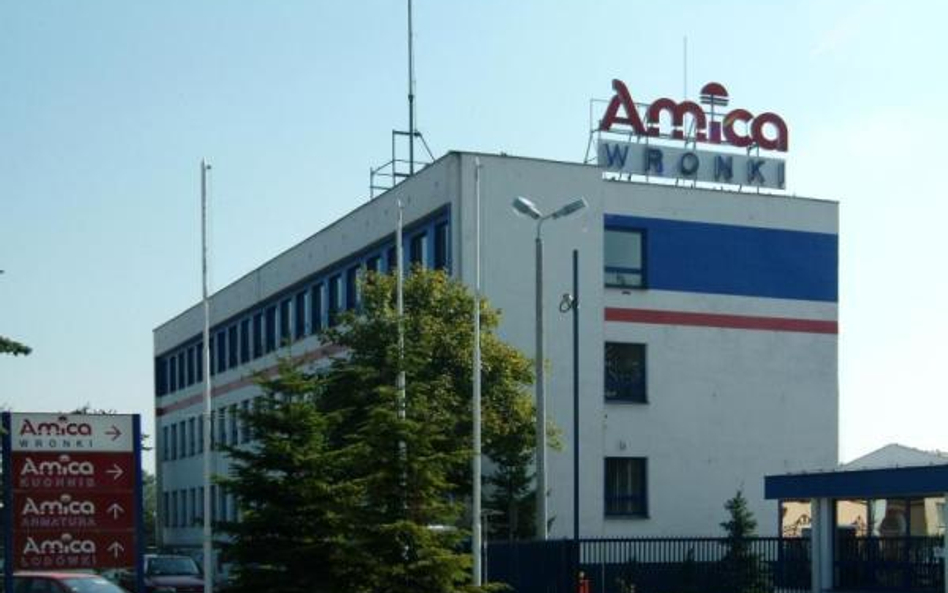 Amica chce przejmować